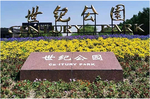 ZHSU PROJECT-SHANGHAI CENTURY PARK